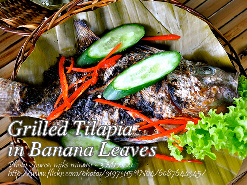grilled tilapia