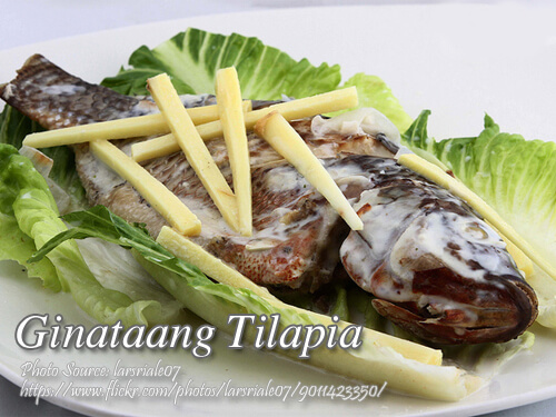 Ginataang Tilapia