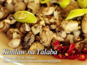 Kinilaw na Talaba