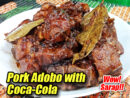 Pork Adobo with Coca-Cola Pin It!