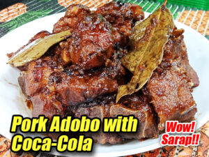 Pork Adobo with Coca-Cola Pin It!