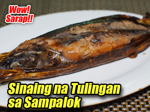 Sinaing Tulingan sa Sampalok Pin It!