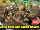 Spicy Beef Ribs Adobo sa Gata Pin It!