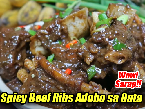 Spicy Beef Ribs Adobo sa Gata Pin It!