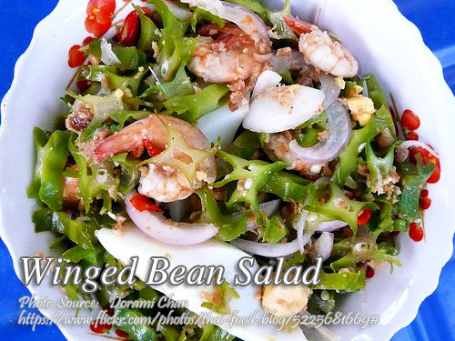 Winged Bean Salad